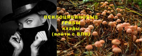 наркотики Новозыбков