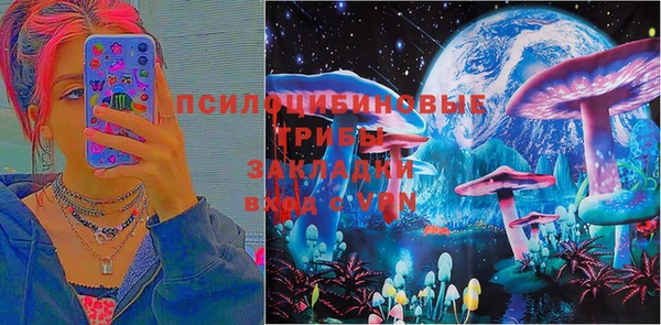 амф Новокубанск