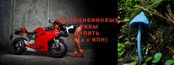 наркотики Новозыбков