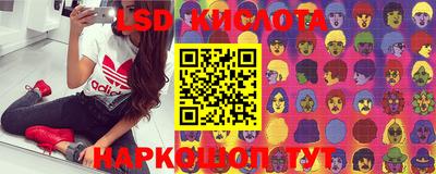 прущие грибы Волжск