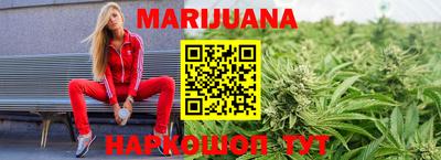 прущие грибы Волгодонск