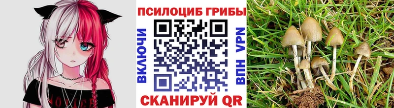 Псилоцибиновые грибы GOLDEN TEACHER  наркотики  Клинцы 