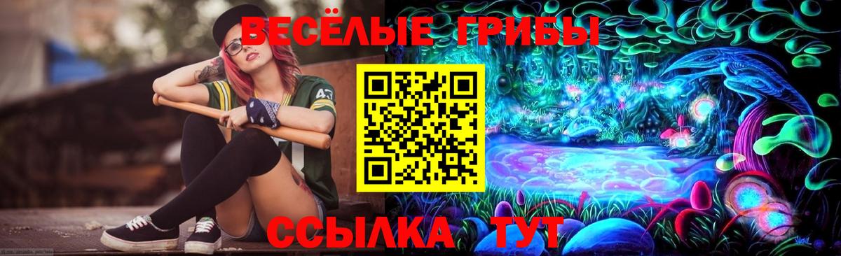Клинцы  Галлюциногенные грибы Magic Shrooms  Вход с VPN  Псилоцибиновые грибы GOLDEN TEACHER 